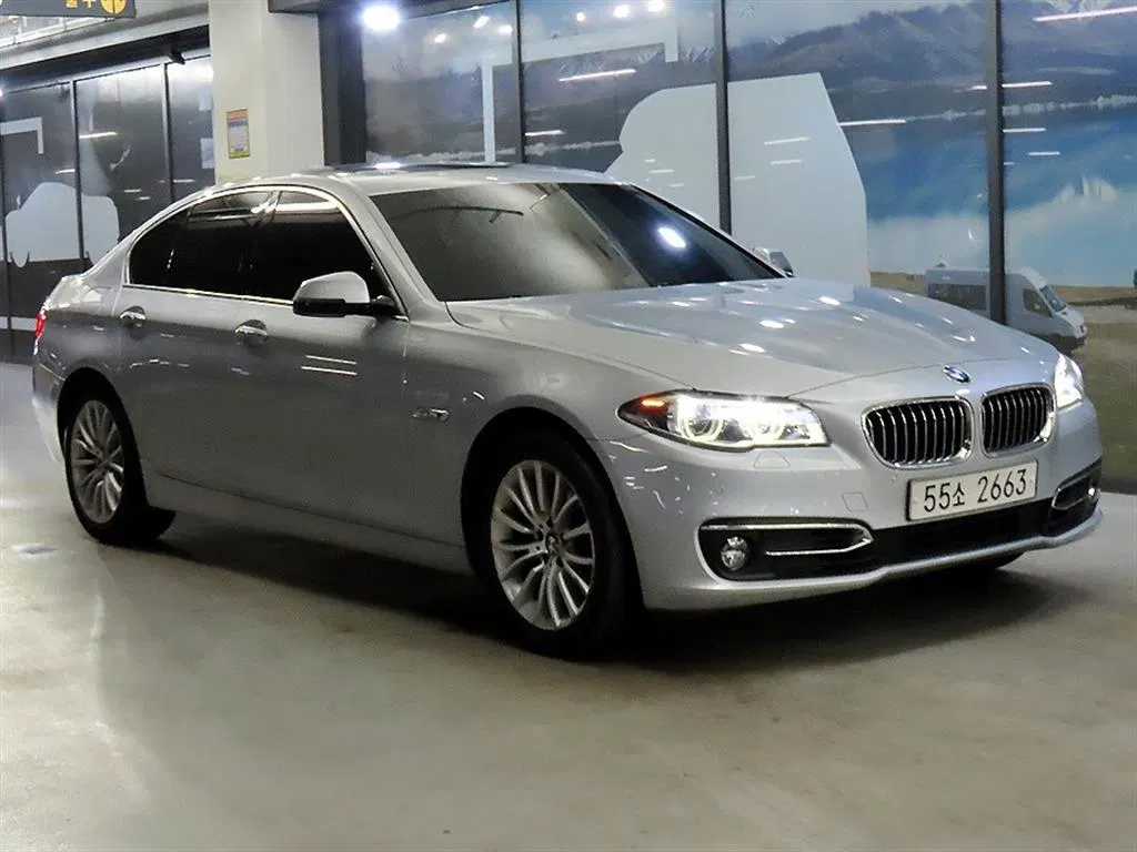 BMW Série 5 (F10) 520d xDrive Luxury 2014 — photo 1 sur 26