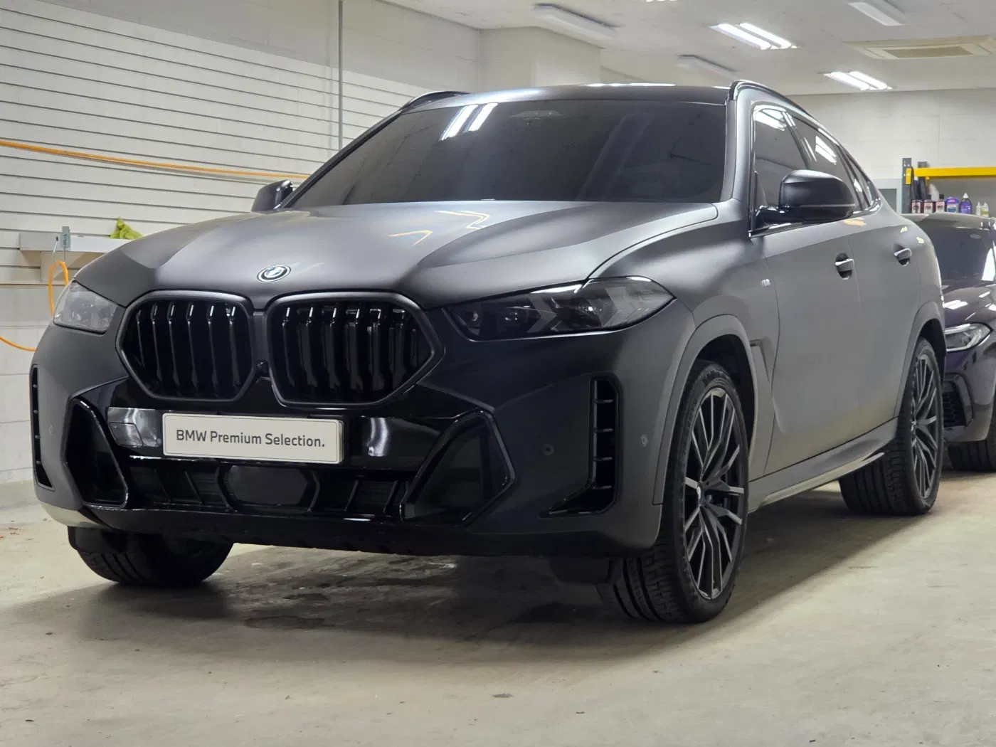 BMW X6 (G06) xDrive40i M Sport Pro Special Edition 2025 — photo 1 sur 26