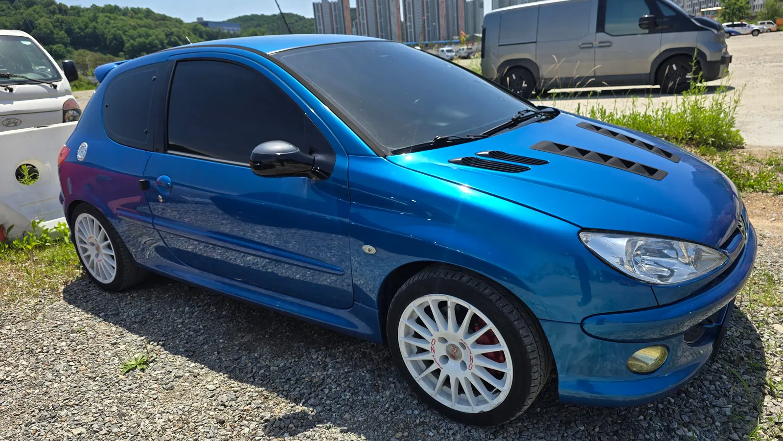 Peugeot 206RC 2.0 2006 — photo 1 sur 6