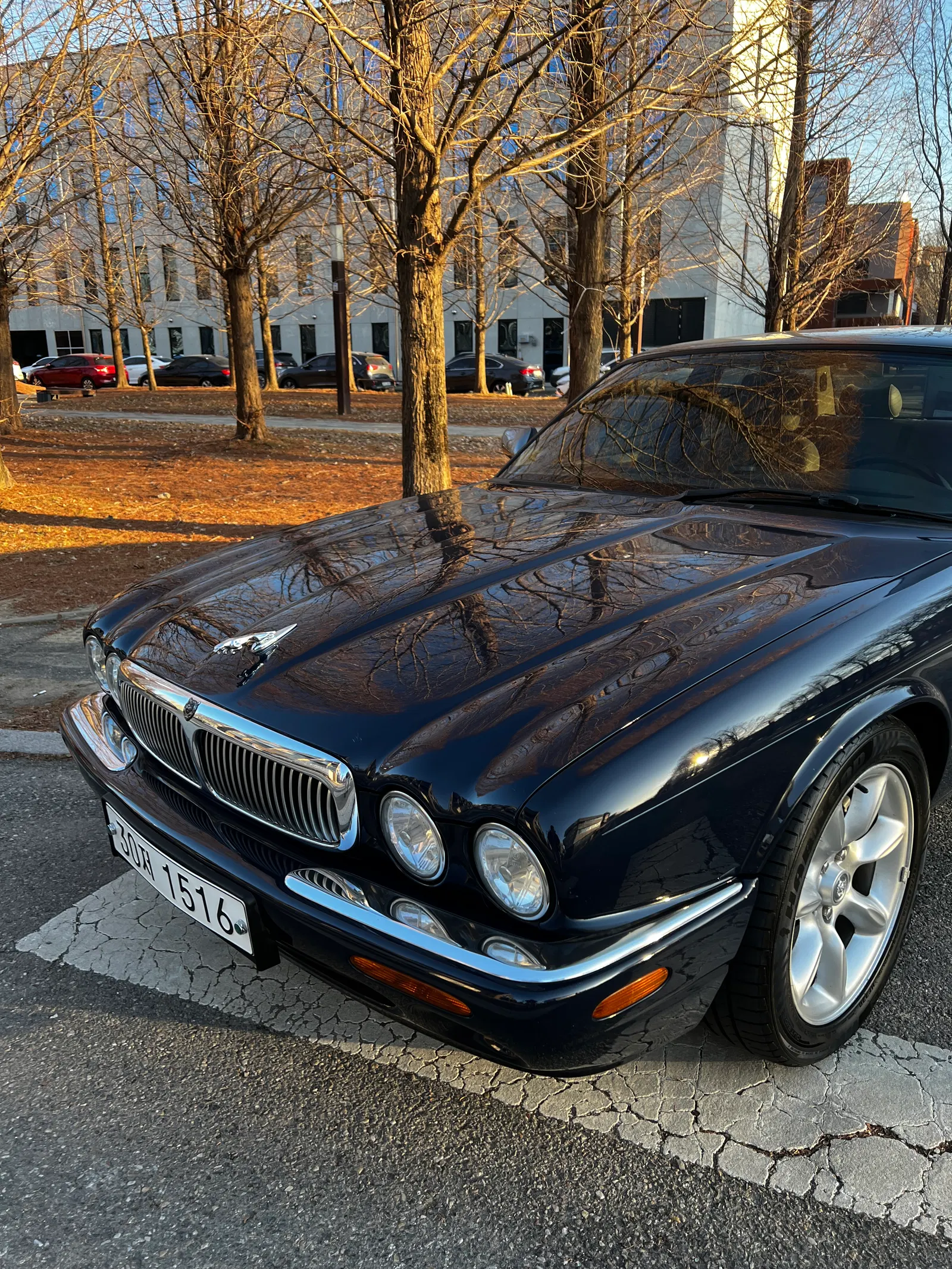 Jaguar XJ-8 4.0 1998 — photo 1 sur 19