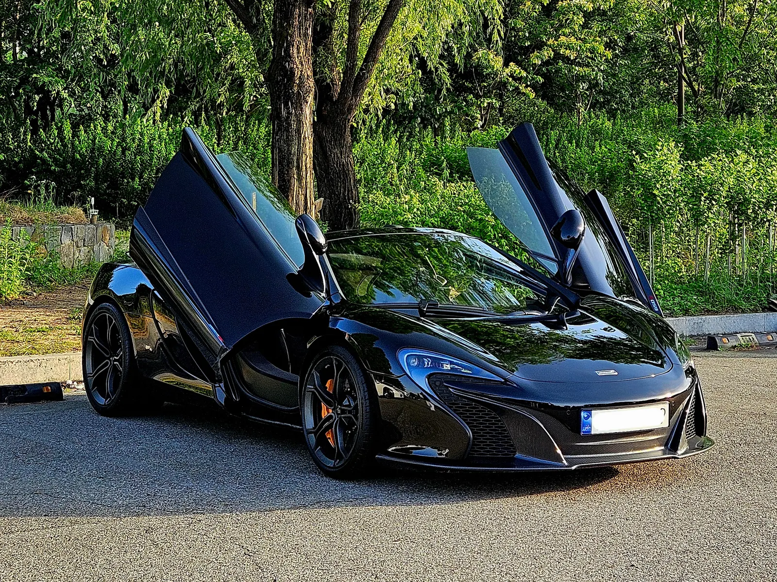 McLaren 650S 3.8 Spyder 2015 — photo 1 sur 17