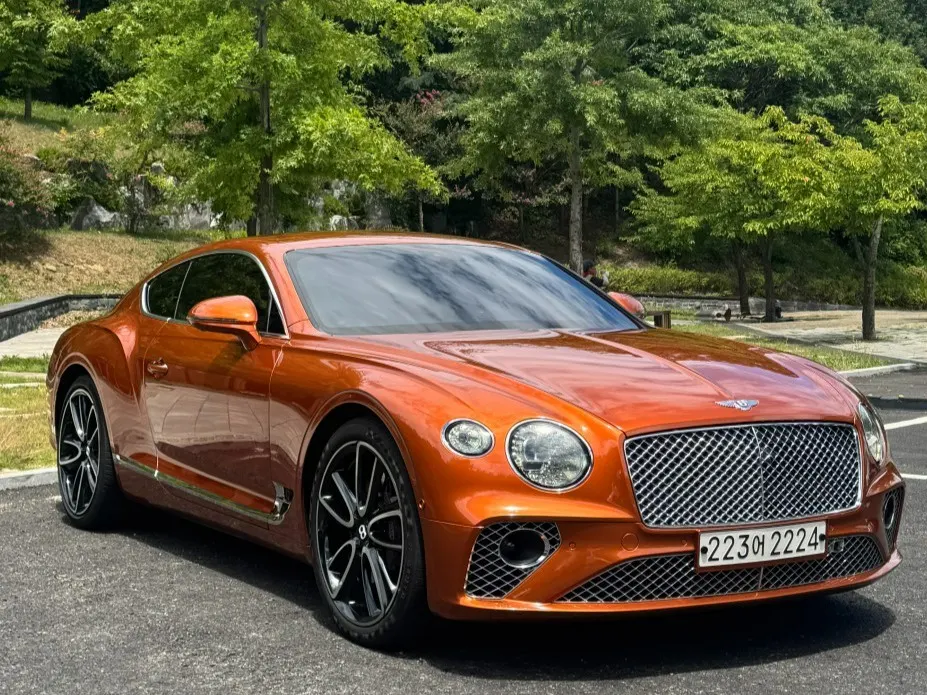 Bentley Continental GT 3e génération 6.0 GT 2018 — photo 1 sur 26