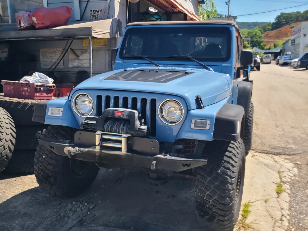 Jeep Wrangler (TJ) 4.0 2000 — photo 1 sur 12