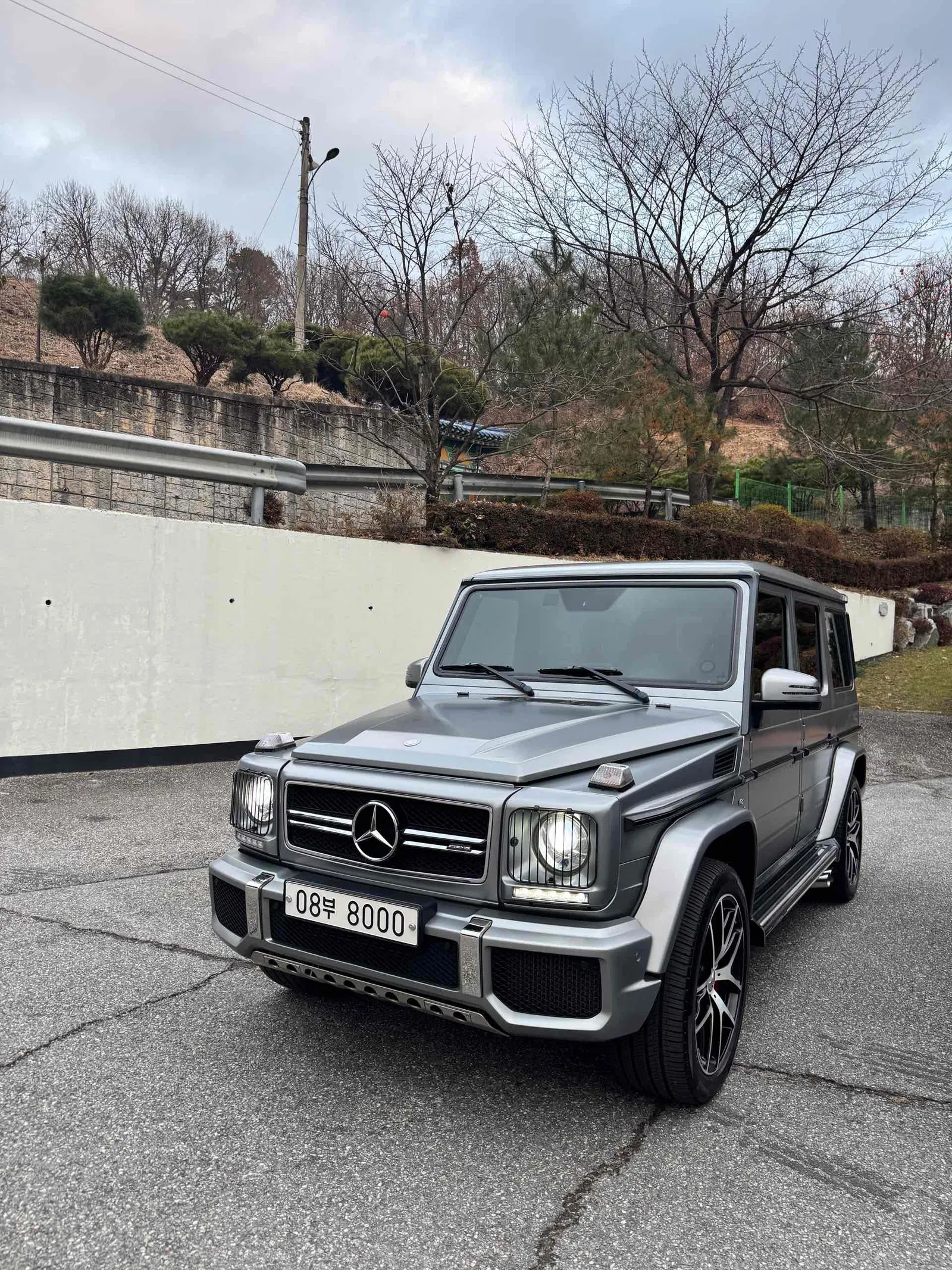 Mercedes-AMG Classe G G63 Edition 463 (W463) 2016 — photo 1 sur 26