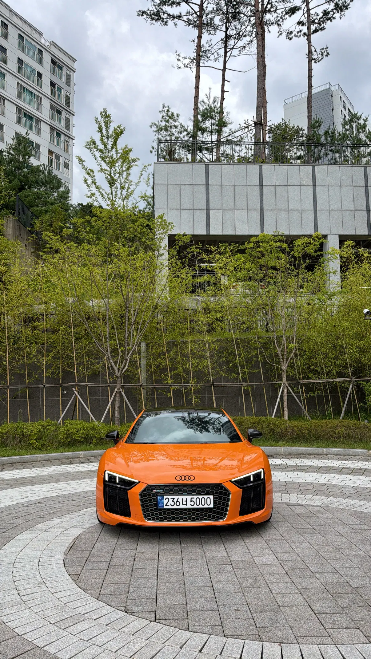 Audi R8 (4S) 5.2 V10 Plus Coupé 2017 — photo 1 sur 26