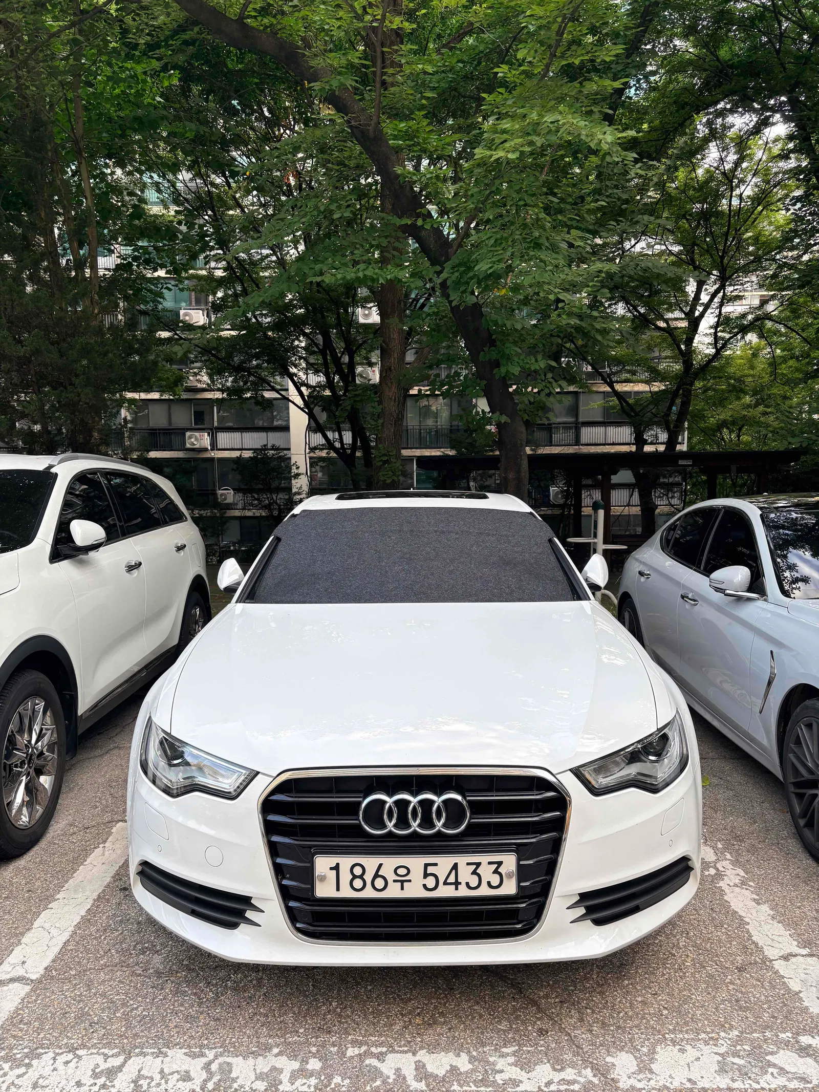 Audi A6 2.0 TDI Dynamic 2014 — photo 1 sur 19
