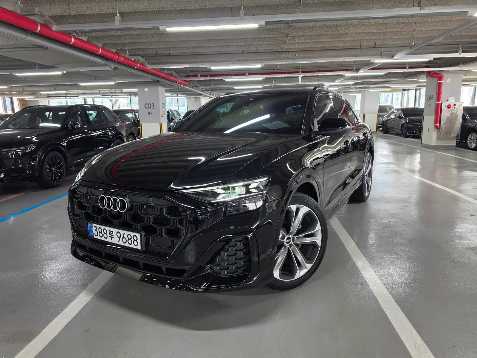 Audi Q8 (4M) 50 TDI Quattro Premium 2026 — photo 1 sur 21