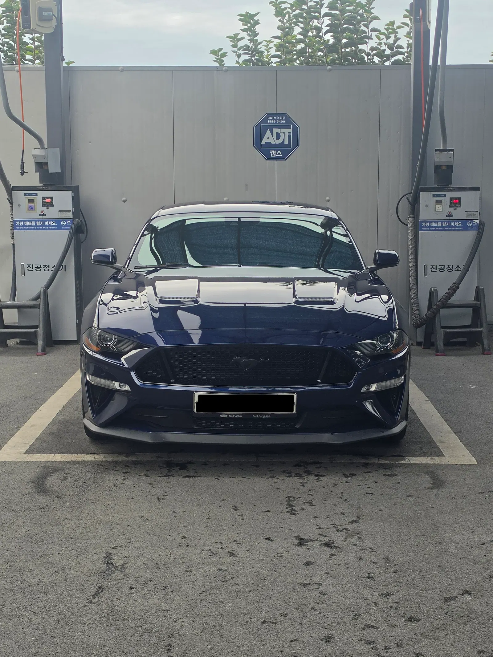 Ford Mustang GT Coupé 2019 — photo 1 sur 11