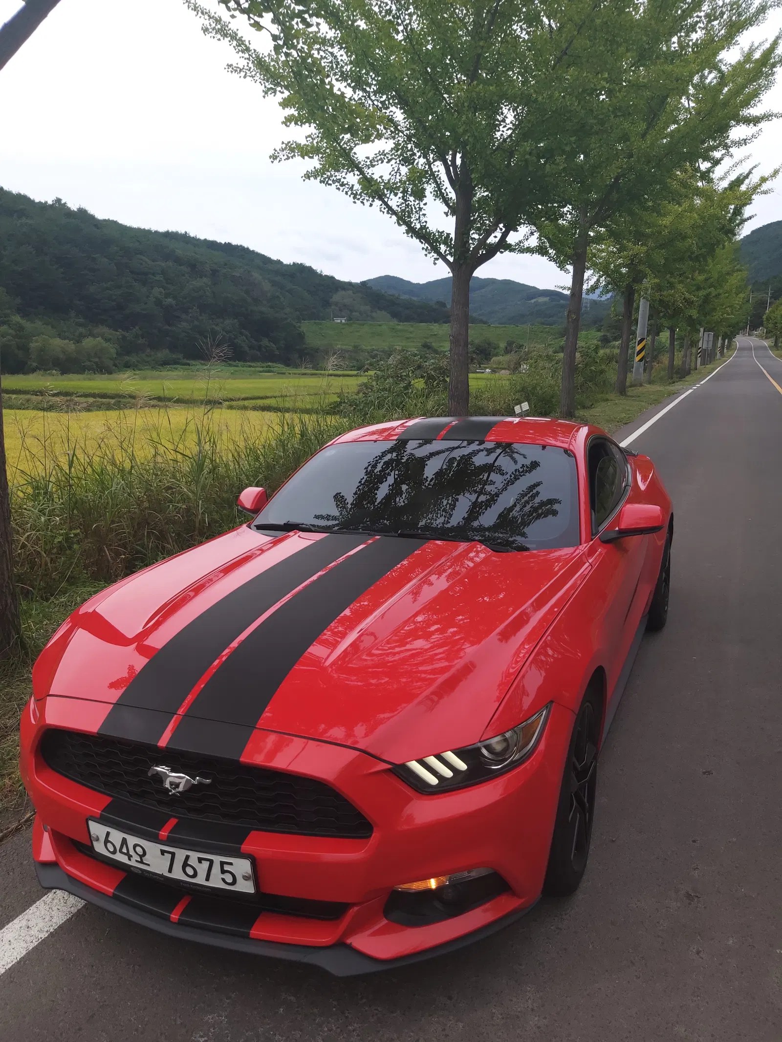 Ford Mustang Coupé 2015 — photo 1 sur 4