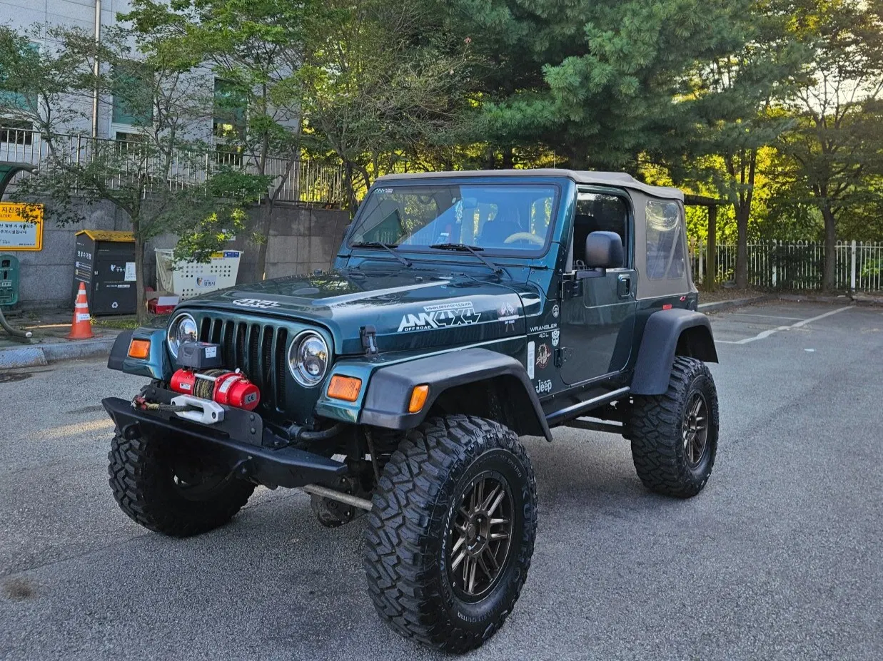 Jeep Wrangler (TJ) 4.0 2000 — photo 1 sur 17