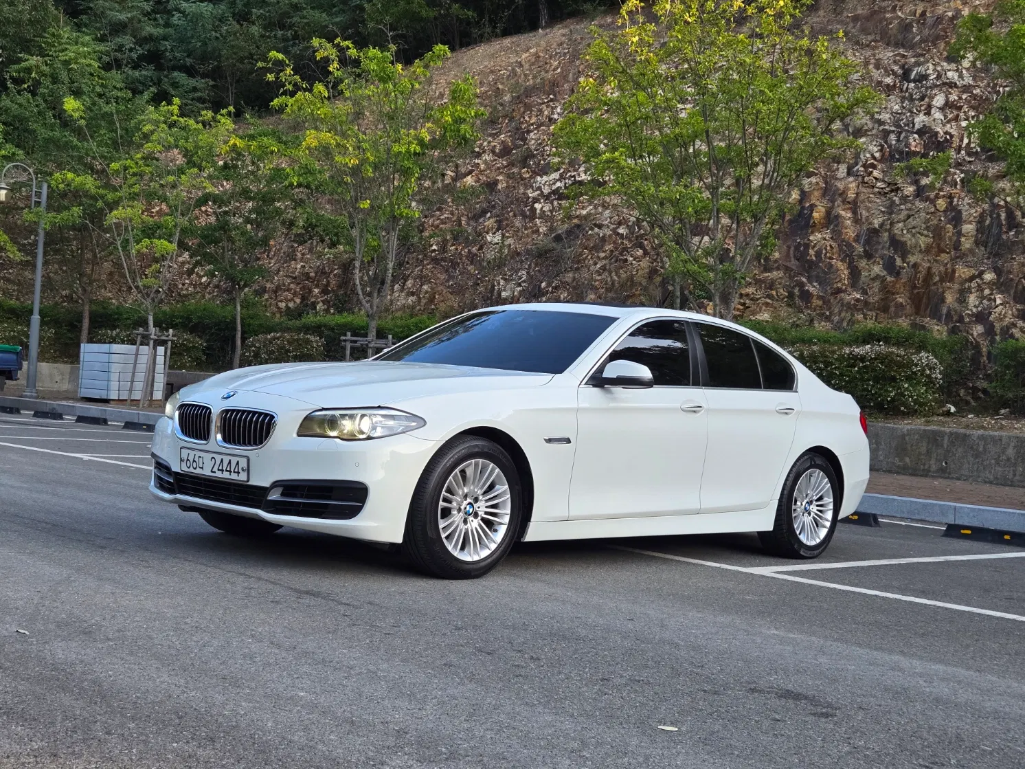 BMW Série 5 (F10) 520d 2015 — photo 1 sur 26