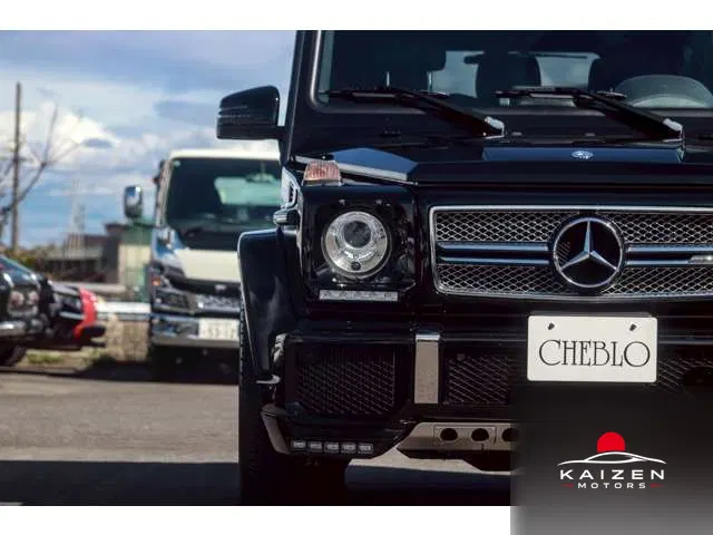 Mercedes-AMG Classe G G65 Longue 4WD 2017 — photo 1 sur 8