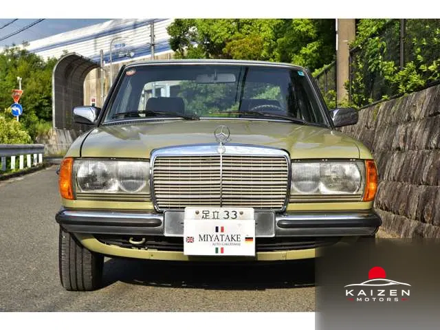 Mercedes-Benz Medium-Class 280E Medium- 1985 — photo 1 sur 8