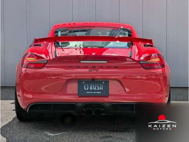 Porsche Cayman GT4 AAC PDLS 2016 — photo 1 sur 8